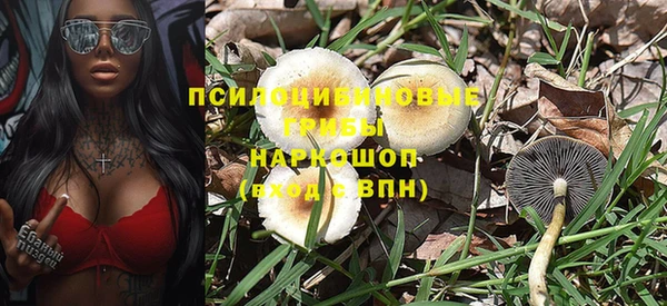 сатива Алексин