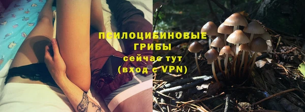 jwh Алзамай