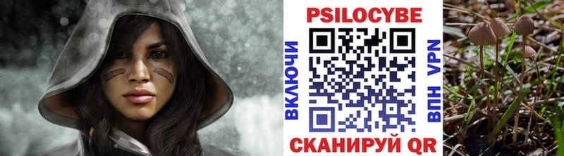 Купить где  Полтавская  Галлюциногенные грибы MAGIC MUSHROOMS 